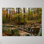 Fall Creek with Reflection at Laurel Hill Park Poster