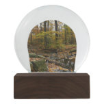 Fall Creek with Reflection at Laurel Hill Park Snow Globe
