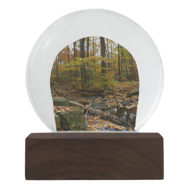 Fall Creek with Reflection at Laurel Hill Park Snow Globe (Front)