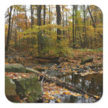 Fall Creek with Reflection at Laurel Hill Park Square Sticker