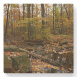 Fall Creek with Reflection at Laurel Hill Park Stone Coaster