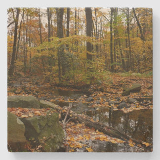 Fall Creek with Reflection at Laurel Hill Park Stone Coaster