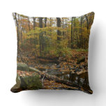 Fall Creek with Reflection at Laurel Hill Park Throw Pillow