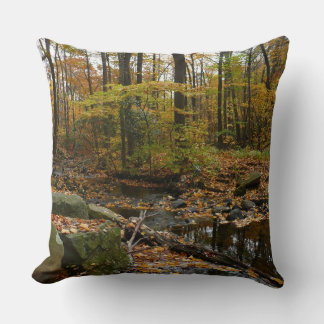 Fall Creek with Reflection at Laurel Hill Park Throw Pillow