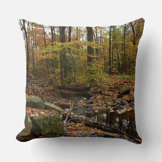 Fall Creek with Reflection at Laurel Hill Park Throw Pillow (Front)