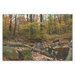 Fall Creek with Reflection at Laurel Hill Park Tissue Paper