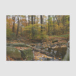 Fall Creek with Reflection at Laurel Hill Park Tissue Paper