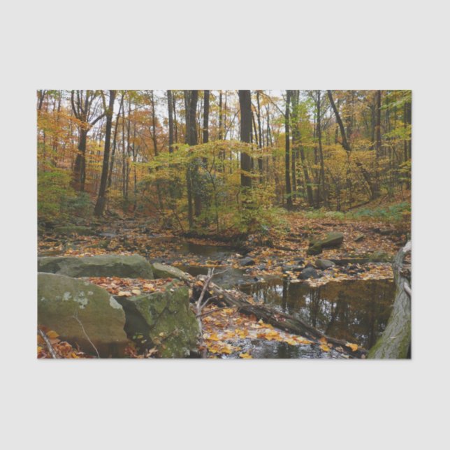 Fall Creek with Reflection at Laurel Hill Park Tissue Paper (Front)