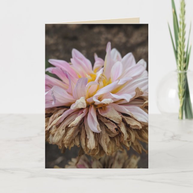 Fall Dahlia Blank Greeting Card (Front)