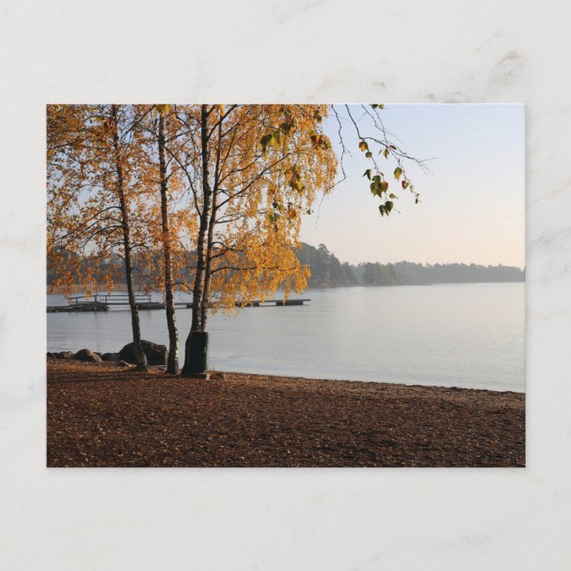 Fall Evening by the Baltic Sea in Finland Postcard (Front)