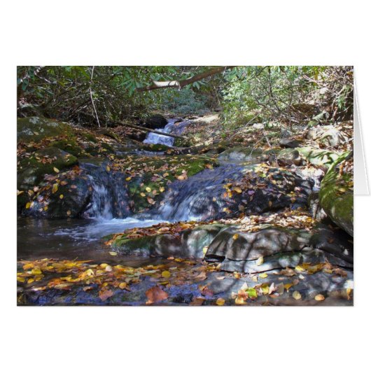 Fall Falls at Fires Creek Cards (Front Horizontal)