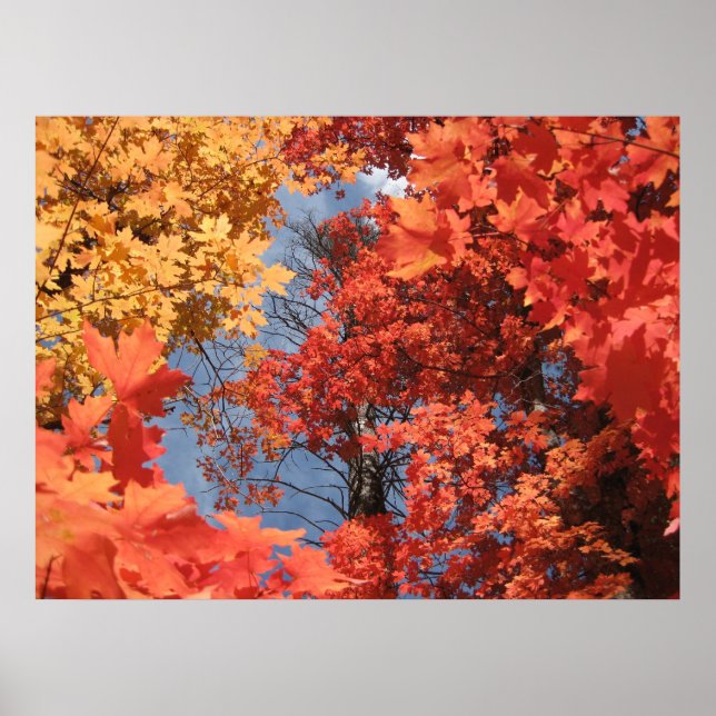 Fall Fantasy (2) Poster (Front)