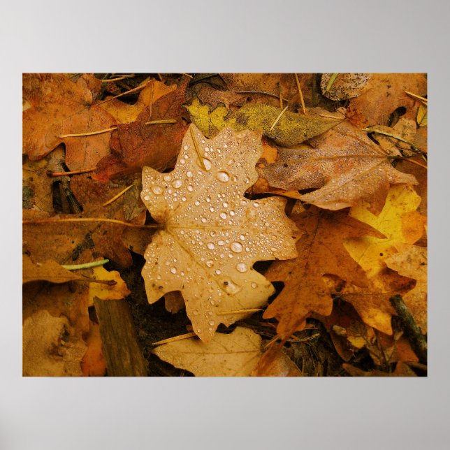 Fall Fantasy (30) Poster (Front)