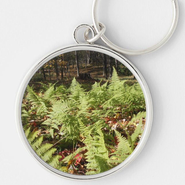 Fall Ferns Keychain (Front)