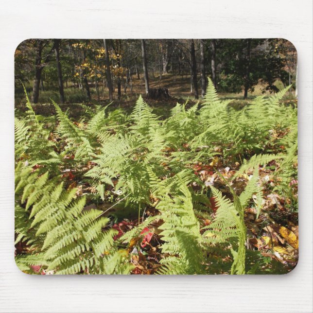 Fall Ferns Mouse Pad (Front)