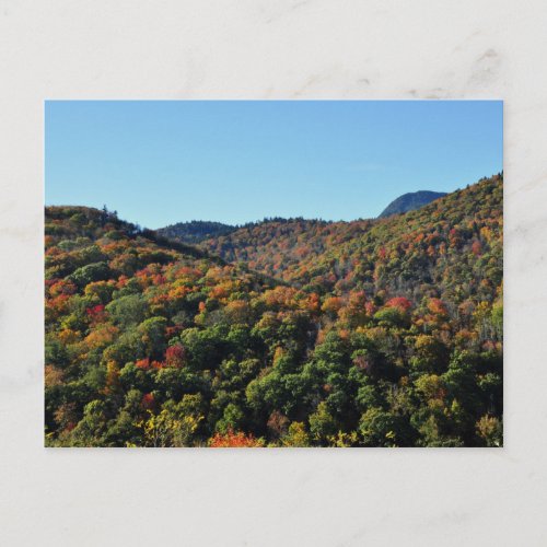 Fall Foliage along the Blue Ridge Parkway NC Postcard