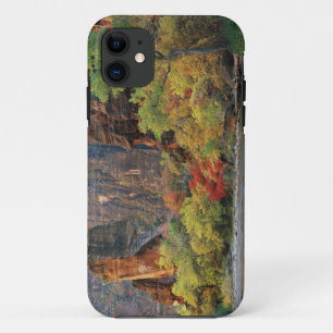 Fall foliage along Virgin River near gateway to iPhone 11 Case