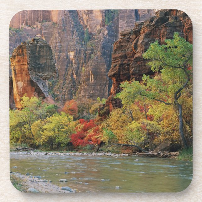 Fall foliage along Virgin River near gateway to Coaster (Front)