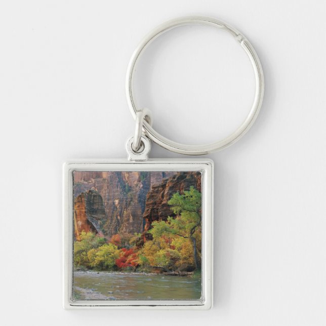 Fall foliage along Virgin River near gateway to Keychain (Front)