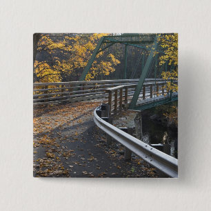 Fall foliage and a bridge over the Millers Button