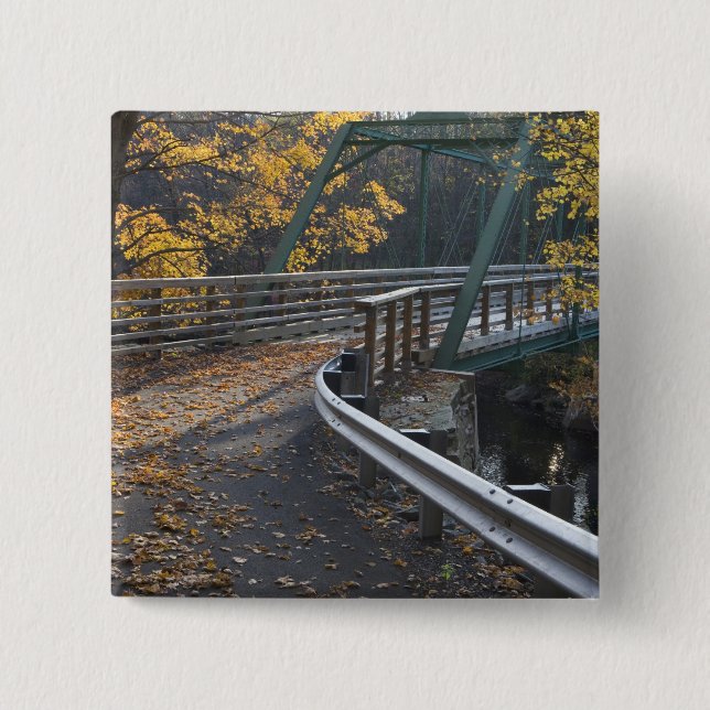 Fall foliage and a bridge over the Millers Button (Front)
