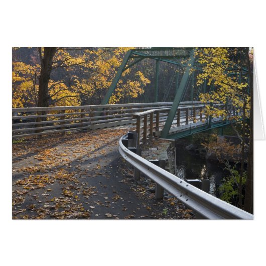 Fall foliage and a bridge over the Millers Cards (Front Horizontal)