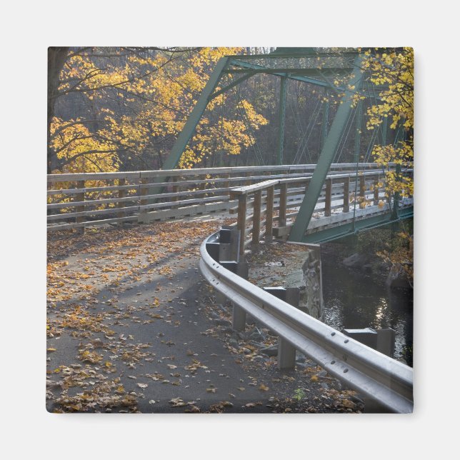 Fall foliage and a bridge over the Millers Magnet (Front)