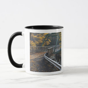 Fall foliage and a bridge over the Millers Mug