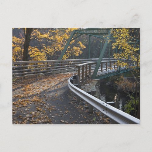 Fall foliage and a bridge over the Millers Postcard
