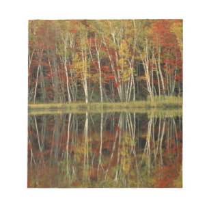 Fall Foliage and Birch Reflections; Hiawatha Notepad