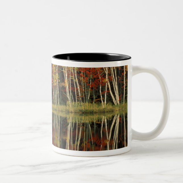 Fall Foliage and Birch Reflections; Hiawatha Two-Tone Coffee Mug (Right)
