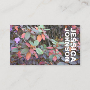 Fall Foliage Autumn Leaves Nature Tree Photography Business Card
