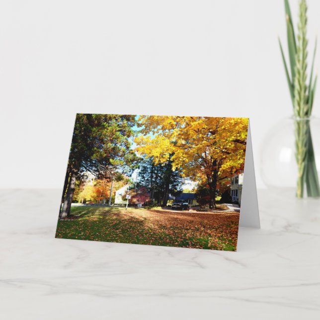 Fall Foliage - Blank Greeting Card (Front)