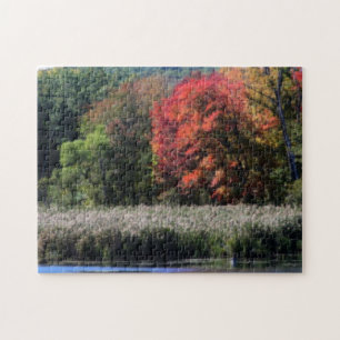 Fall Foliage Bordering A Marsh Orton Effect Jigsaw Puzzle