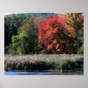 Fall Foliage Bordering A Marsh Orton Effect Poster