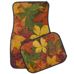 Fall Foliage Car Floor Mat