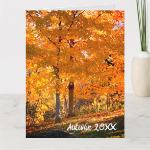 Fall Foliage Card