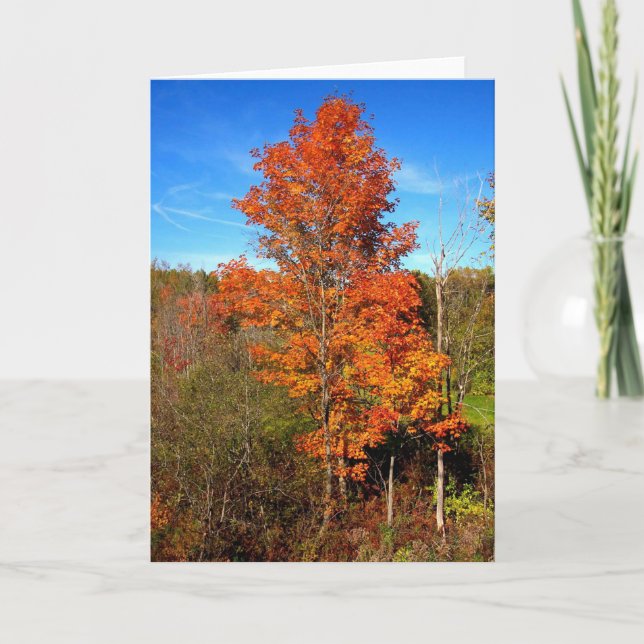 Fall Foliage Card (Front)