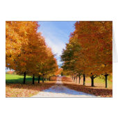 Fall Foliage Card (Front Horizontal)