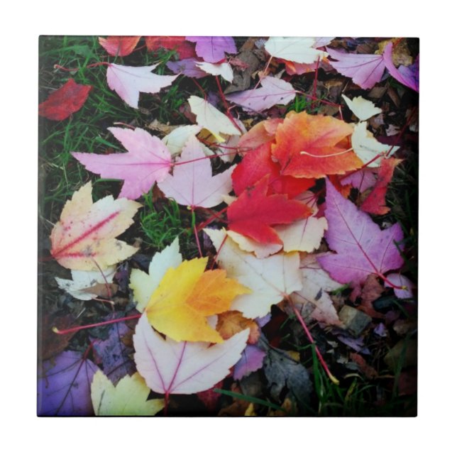Fall Foliage Ceramic Tile (Front)