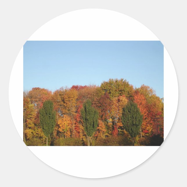 Fall Foliage Classic Round Sticker (Front)