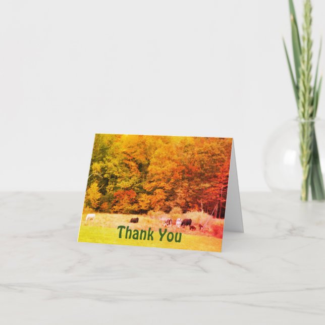 Fall Foliage Cows Field Thank You Card (Front)
