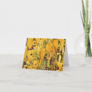 "FALL FOLIAGE" (DIGITAL MANIP. PHOTO) CARD