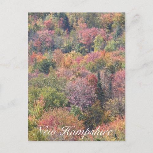 Fall Foliage Franconia Notch State Park NH Postcard