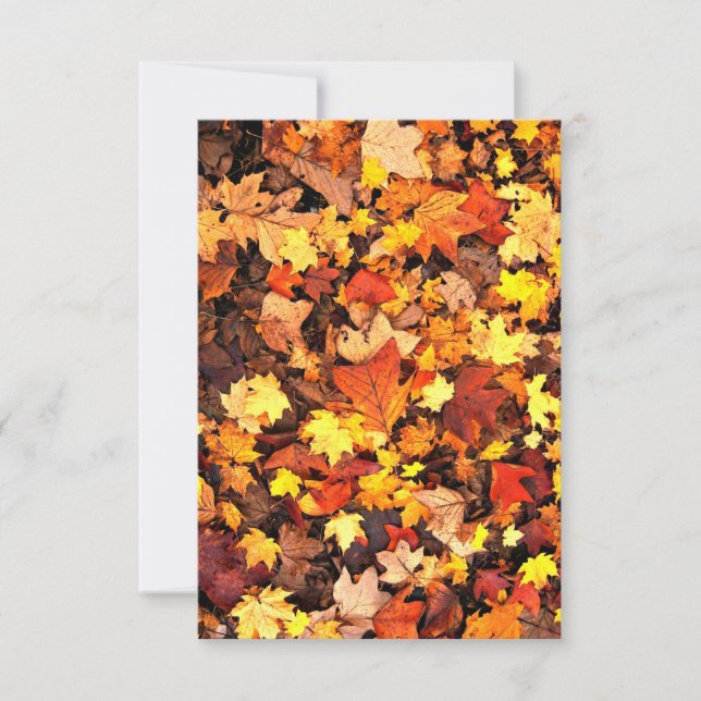 Fall Foliage Greeting Card (Front)