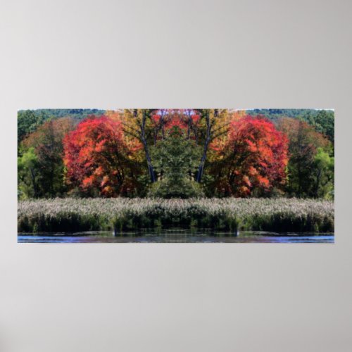Fall Foliage In A Marsh Orton Mirror Abstract Poster