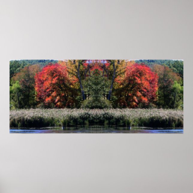 Fall Foliage In A Marsh Orton Mirror Abstract Poster (Front)