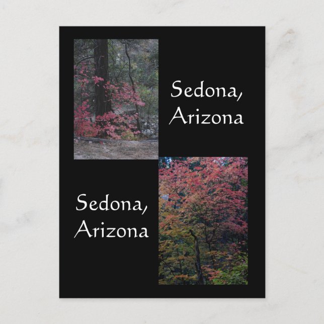 Fall foliage in bloom,Sedona Arizona Postcard (Front)