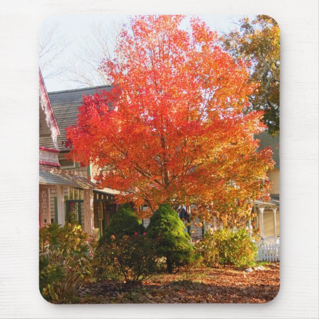 Fall Foliage in Oak Bluffs - Martha's Vineyard Mouse Pad (Front)