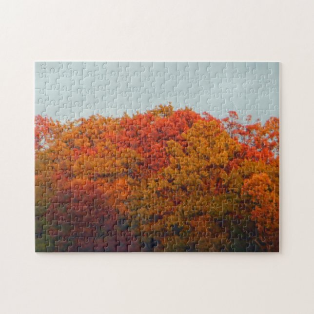 Fall Foliage Jigsaw Puzzle (Horizontal)